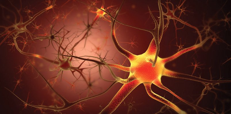 neurony i sygnały nerwowe – technologia Super Patch a redukcja bólu